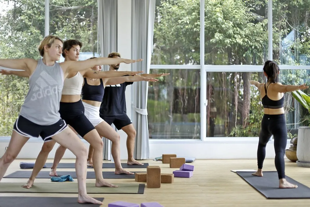 The Ultimate Guide to Becoming a Successful Yoga Trainer